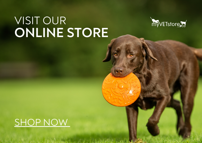 Carousel Slide 1: Shop Online Store >